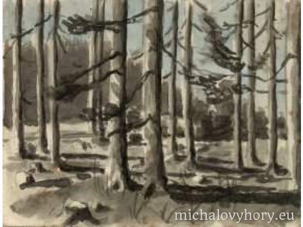 Les někde u vsi, stromy nepoznávám